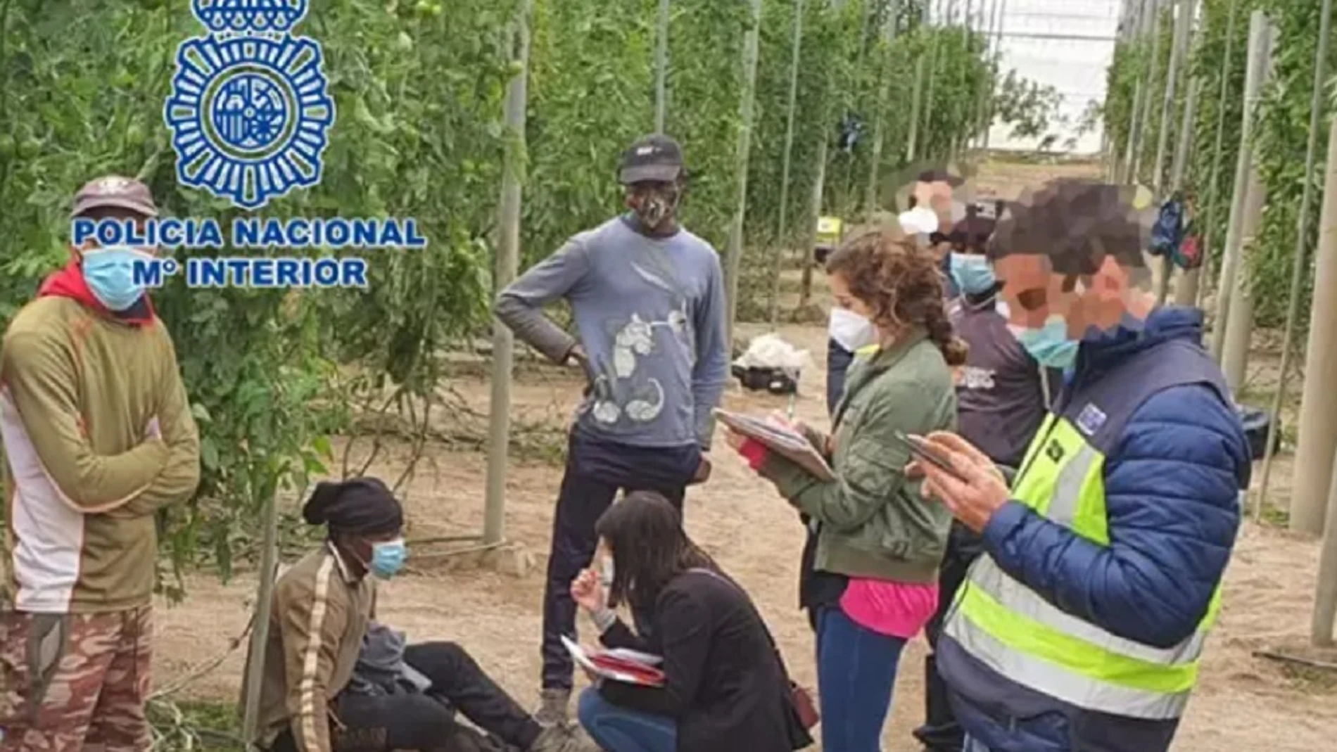 Imagen de la explotación agrícola del empresario que ha sido detenido en Almería