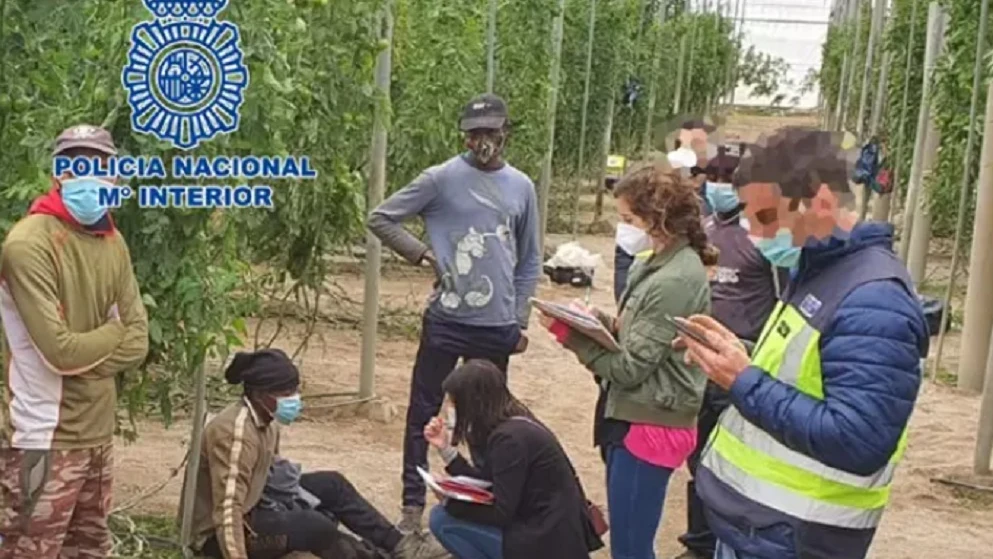 Imagen de la explotación agrícola del empresario que ha sido detenido en Almería