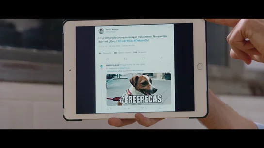 Ayuso desvela la verdad sobre qué había tras las redes de Pecas, el perro de Aguirre: "Esperanza ni lo sabía" Ayuso desvela la verdad sobre qué había tras las redes de Pecas, el perro de Aguirre: "Esperanza ni lo sabía"