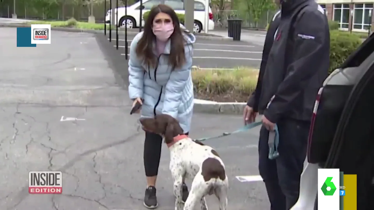 El momento en el que una reportera que anunciaba el robo de un perro detiene al ladrón al encontráselo en la calle El momento en el que una reportera que anunciaba el robo de un perro detiene al ladrón al encontráselo en la calle