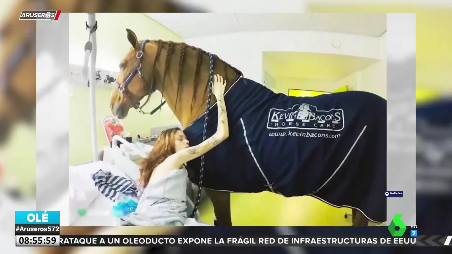 CABALLO TUMORES CABALLO TUMORES