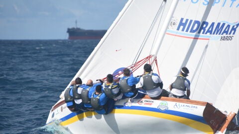 Vela Latina Canaria