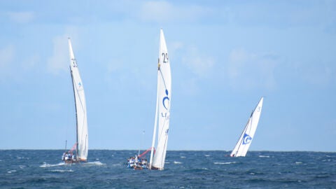 Vela Latina Canaria