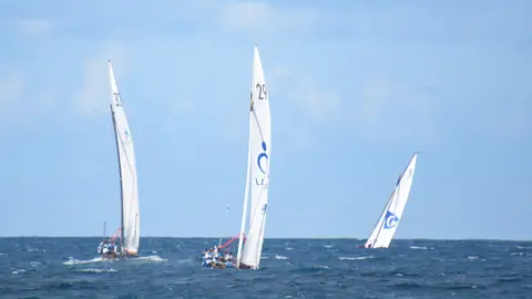 Vela Latina Canaria Vela Latina Canaria
