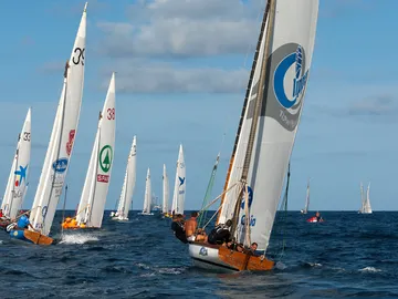 Vela Latina Canaria Vela Latina Canaria