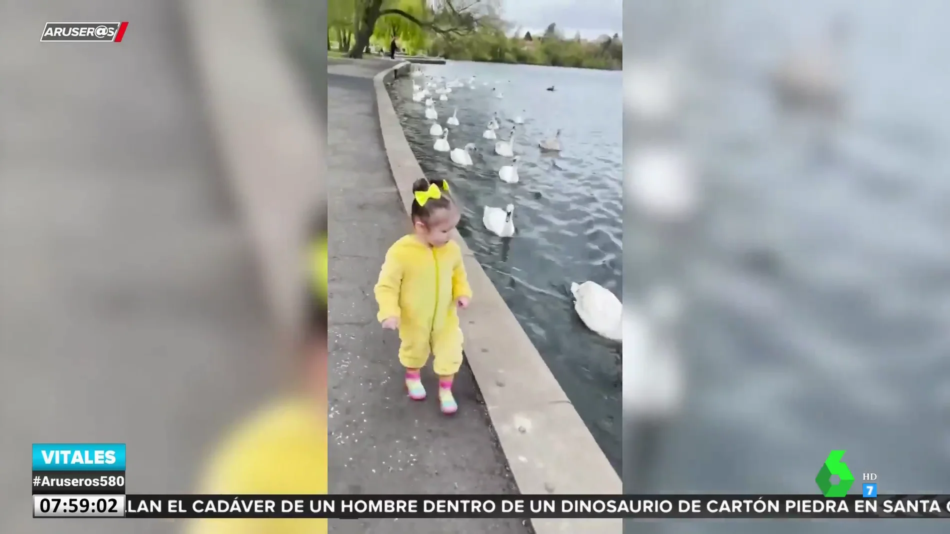 Un grupo de cisnes persigue a una niña disfrazada de pato por un parque