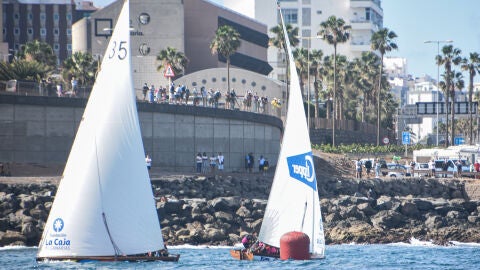Vela Latina Canaria