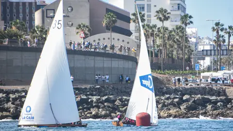 Vela Latina Canaria Vela Latina Canaria