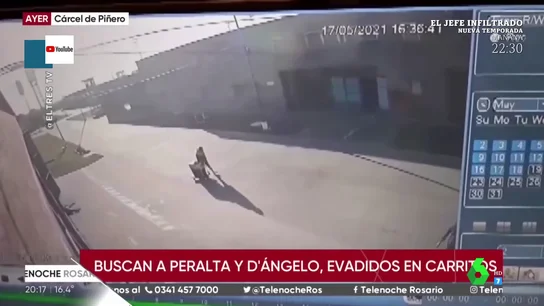 fuga fuga