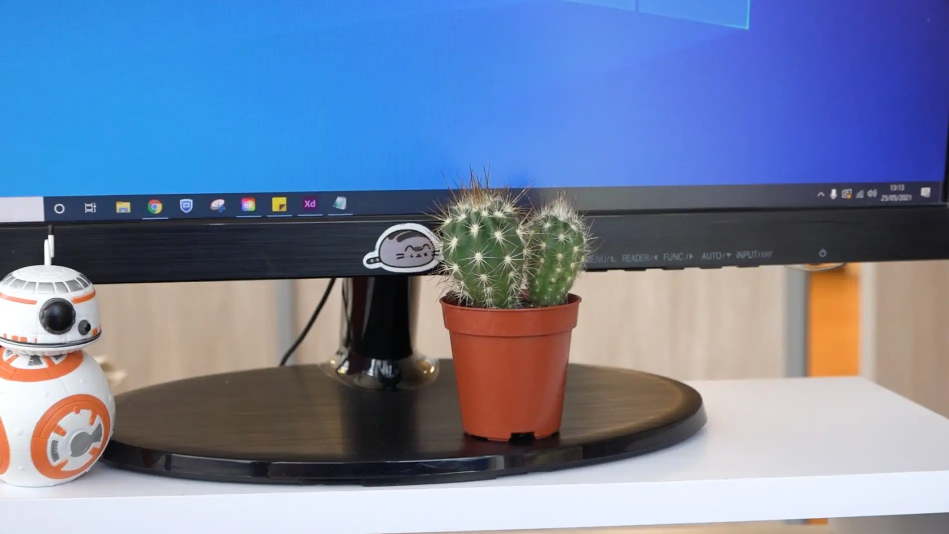 Cactus en una pantalla