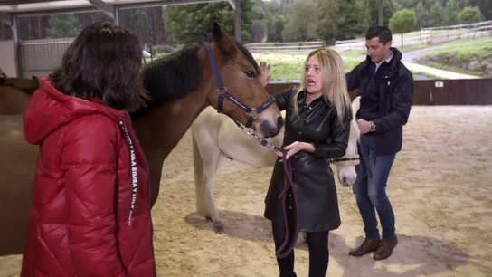 La familia del jefe infiltrado de 'Carlos Conde', horrorizada ante su cambio: "Cuando te vean te van a dar monedas" La familia del jefe infiltrado de 'Carlos Conde', horrorizada ante su cambio: "Cuando te vean te van a dar monedas"