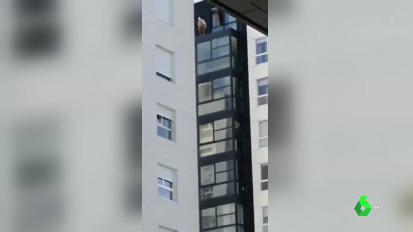 Una policía rescata a un anciano de 90 años que estaba recostado en el alféizar de un duodécimo piso en Vigo Una policía rescata a un anciano de 90 años que estaba recostado en el alféizar de un duodécimo piso en Vigo