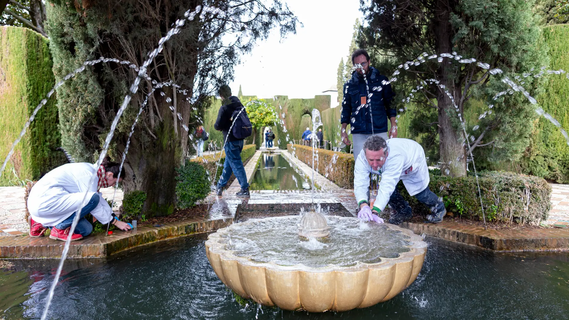 Identifican la variedad de microalgas que habita las fuentes de la Alhambra y el Generalife