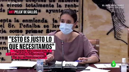 ANTIPELEA DE GALLOS ANTIPELEA DE GALLOS