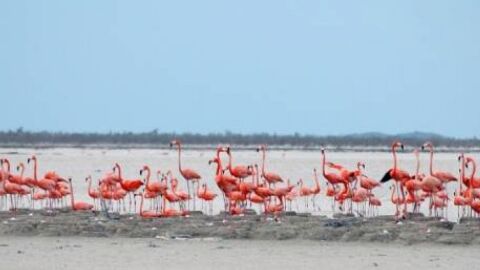 Inagua National Park