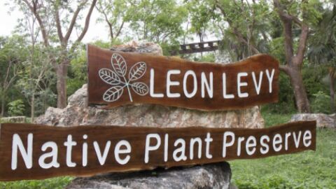 Leon Levy Native Plant Preserve