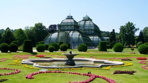 Viena