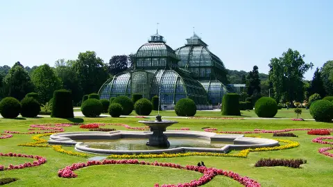 Viena Viena