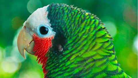 Abaco National Park