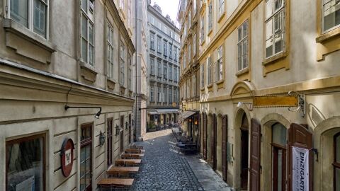 Viena