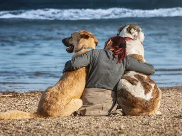 Playas que admiten perros en Murcia Playas que admiten perros en Murcia