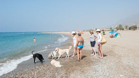 Playa de las Moreras