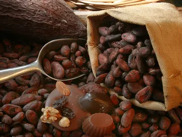 Chocolate belga Chocolate belga