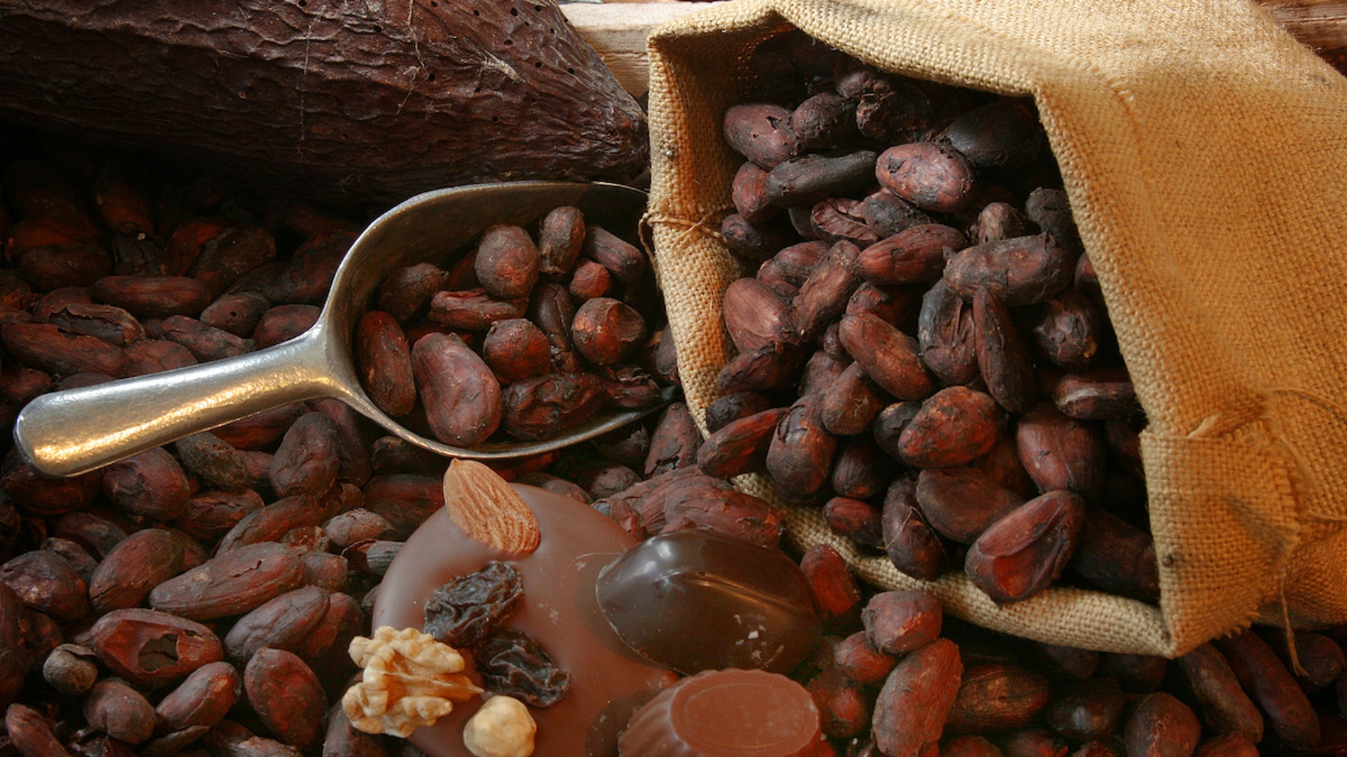 Chocolate belga