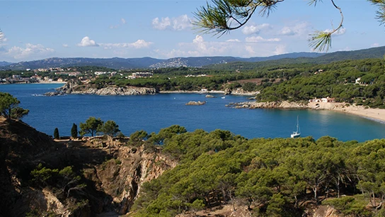 Cala Estreta (Palamós, Girona) Cala Estreta (Palamós, Girona)