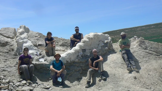 Descubren y recuperan una columna vertebral de dinosaurio de más de 145 millones de años en Teruel Descubren y recuperan una columna vertebral de dinosaurio de más de 145 millones de años en Teruel