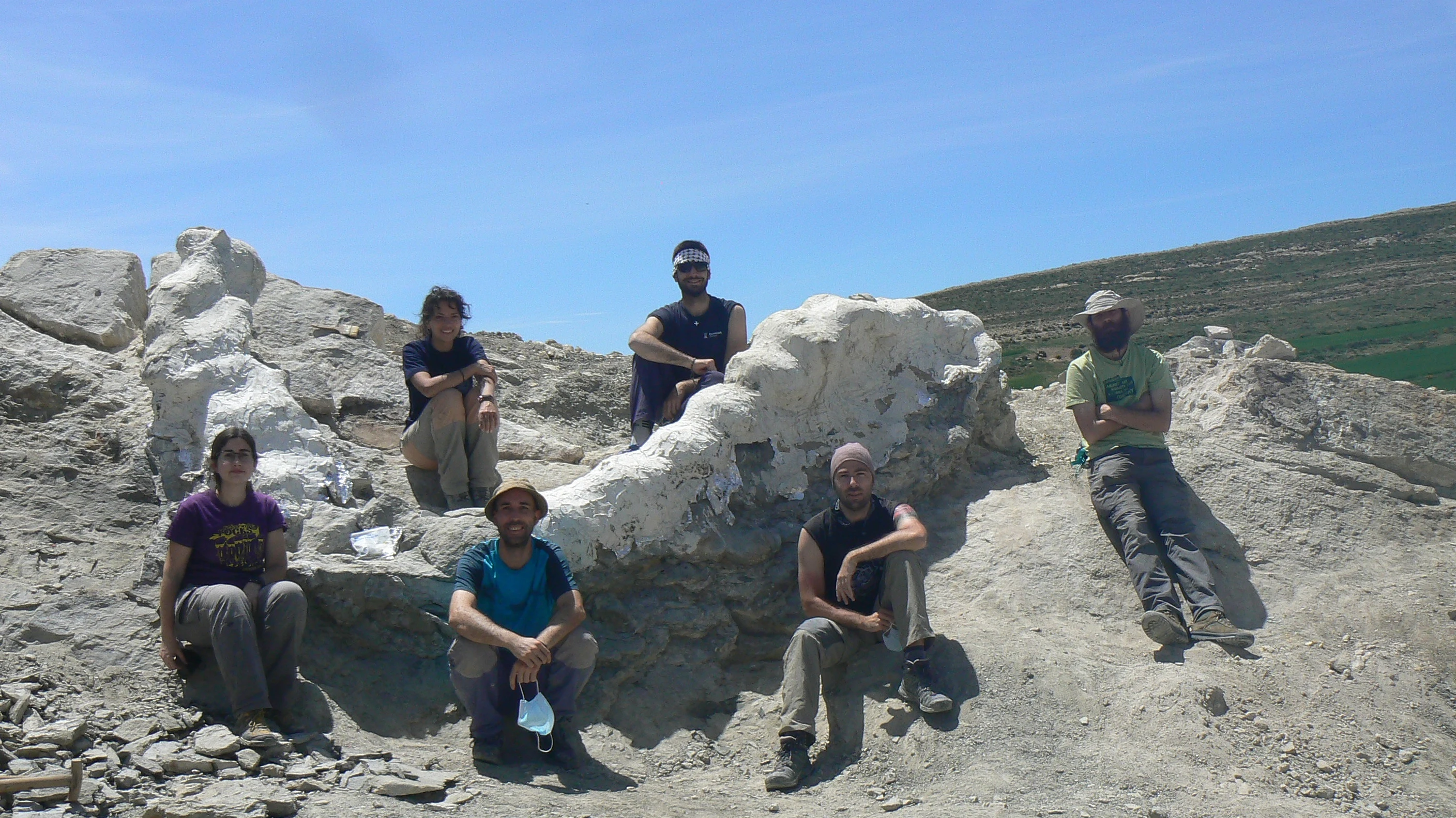 Descubren y recuperan una columna vertebral de dinosaurio de más de 145 millones de años en Teruel