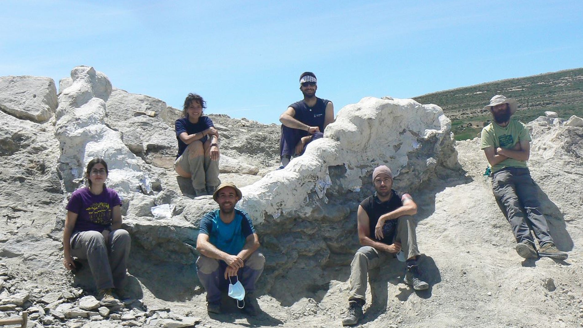Serie vertebral articulada de un dinosaurio gigante