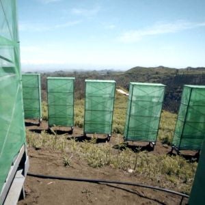 El invento español para "ordeñar las nubes" y evitar que la Península se convierta en un desierto El invento español para "ordeñar las nubes" y evitar que la Península se convierta en un desierto