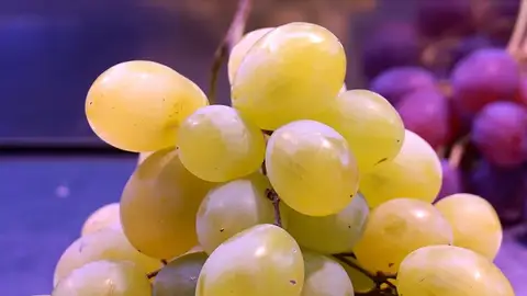 Uva moscatel Uva moscatel