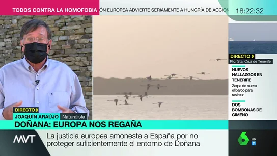 Doñana Doñana
