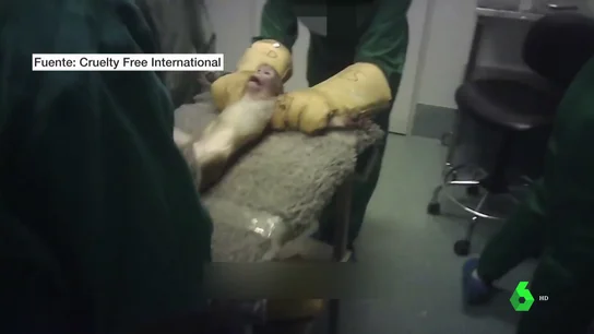 reabre Vivotecnia reabre Vivotecnia