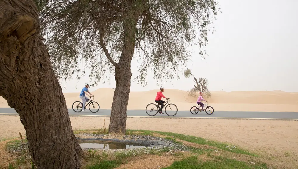 Día Mundial de la Bicicleta en Dubái