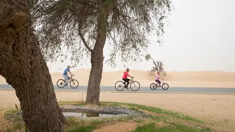 Día Mundial de la Bicicleta en Dubái Día Mundial de la Bicicleta en Dubái