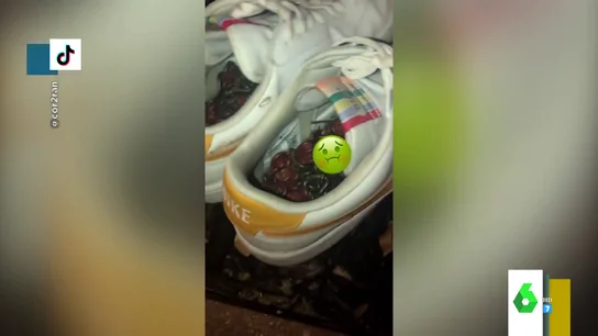 Milpiés en una zapatillas Milpiés en una zapatillas