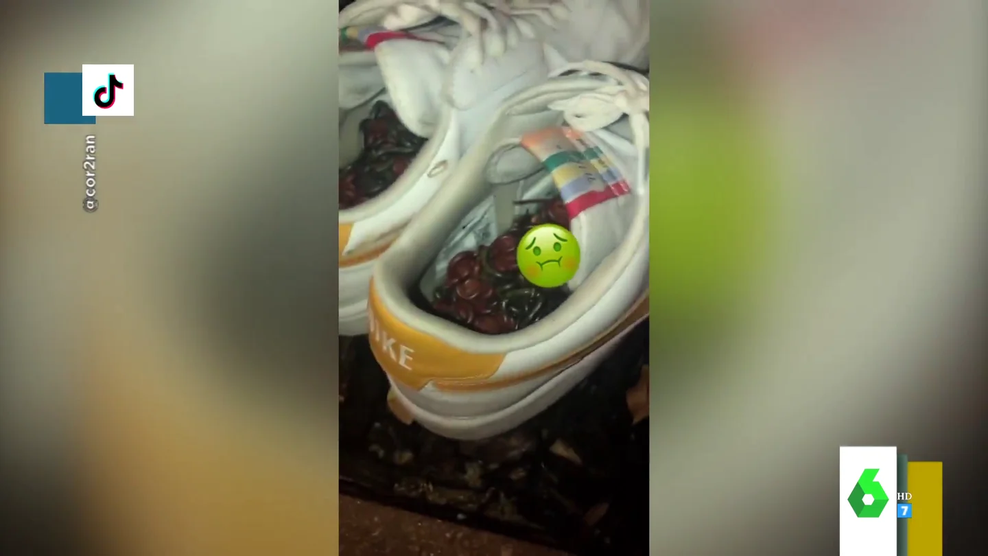 Milpiés en una zapatillas Milpiés en una zapatillas
