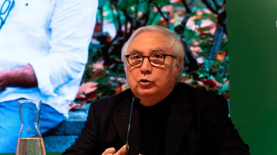 El ministro de Universidades, Manuel Castells. El ministro de Universidades, Manuel Castells.