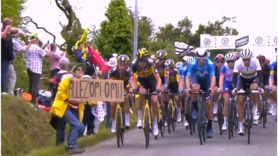 Aficionada que provocó una caída masiva en el Tour de Francia Aficionada que provocó una caída masiva en el Tour de Francia