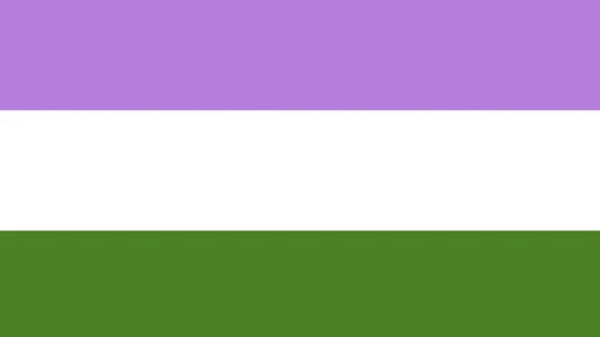 Bandera Queer Bandera Queer