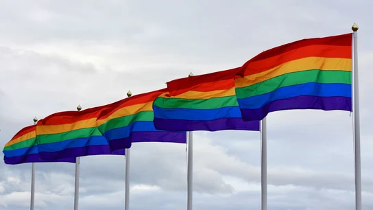 Guía de banderas LGTBIQ+: qué significan y por qué hay varias Guía de banderas LGTBIQ+: qué significan y por qué hay varias