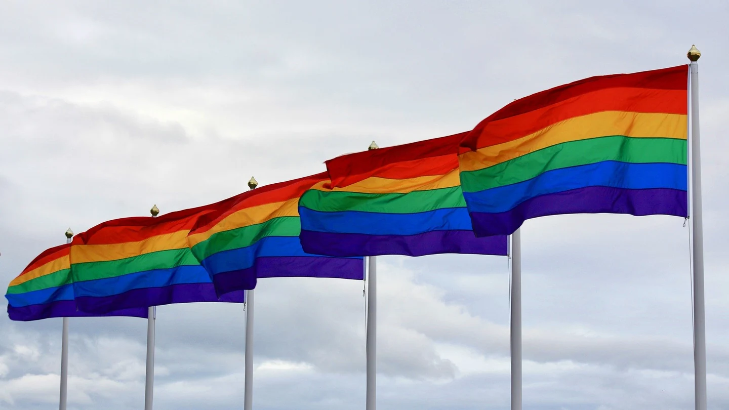 Guía de banderas LGTBIQ+: qué significan y por qué hay varias Guía de banderas LGTBIQ+: qué significan y por qué hay varias
