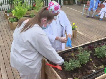 Así es la terraza-huerto pionera que ayuda a los pacientes de Psiquiatría