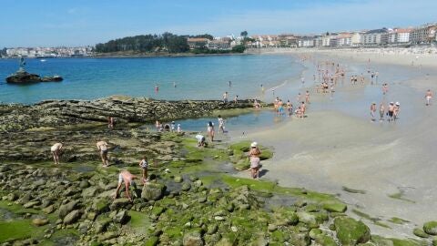 San Xenxo