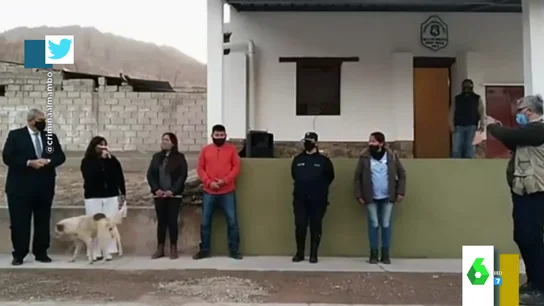 Zapeando Zapeando