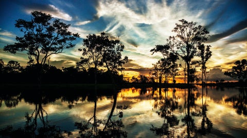 Atardecer en la Reserva Nacional Pacaya Samiria