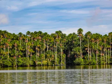 Reserva Nacional Tambopata Reserva Nacional Tambopata